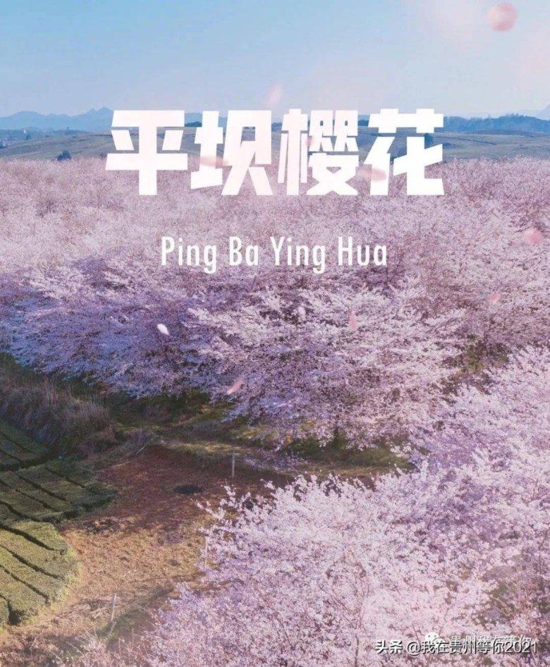 1月25日广发科技创新混合A净值1.2822元，增长3.83%